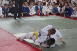 Спортивні перегони