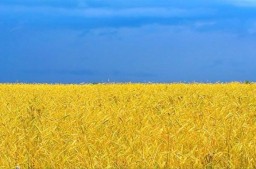 З Днем Незалежності України, вишнівчани!